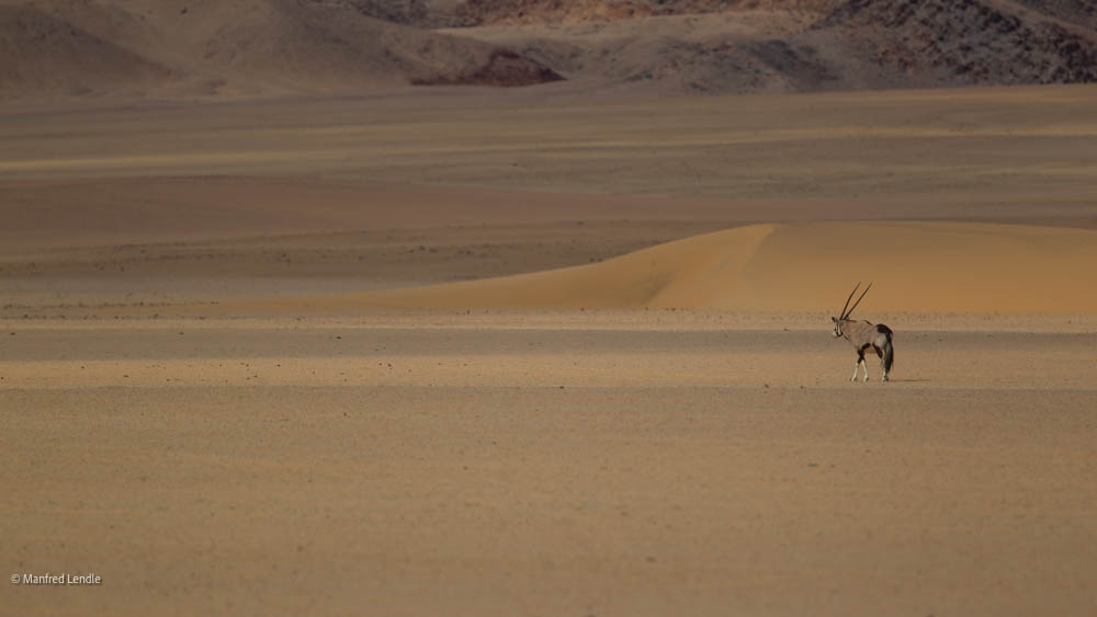 Namibia Kaokoveld und Botswana Okavango Delta – August 2015
