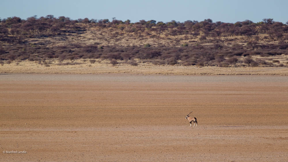 Wüsten im südlichen Afrika -August / September 2018