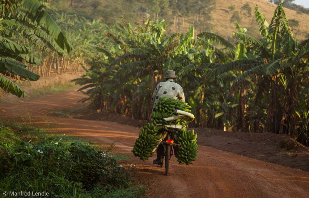 Mit dem Fahrrad unterwegs in Afrika