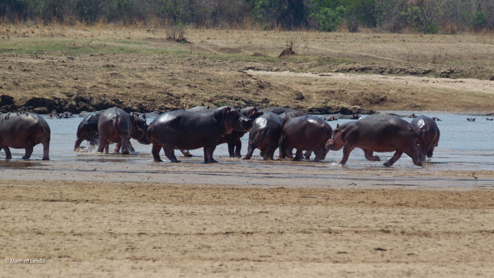 Reise nach Malawi und Zambia – September / Oktober 2011