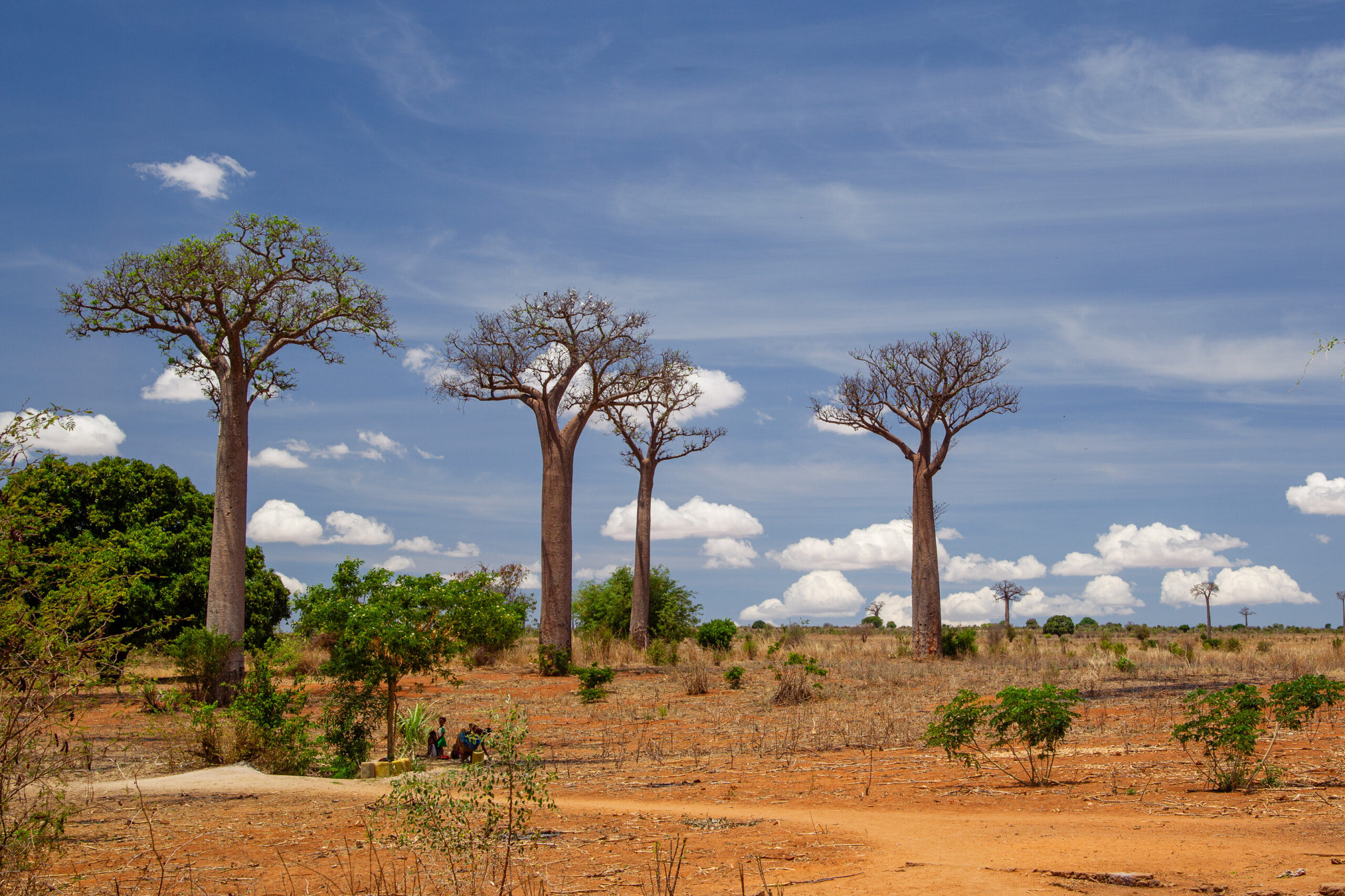 Madagaskar Oktober 2024