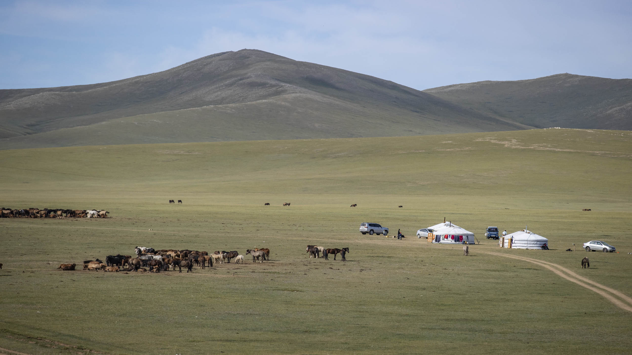 Mongolei 2025